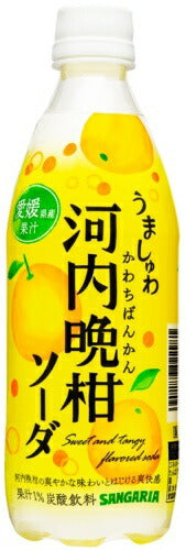 サンガリア うましゅわ 河内晩柑ソーダ 500ml ペットボトル 24本入 果汁 炭酸飲料