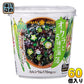 ひかり味噌 VEGE MISO SOUP オクラと5種の海藻＋カルシウム 60個入 〔べジミソスープ 即席みそ汁 味噌汁 生みそ インスタント 海草〕