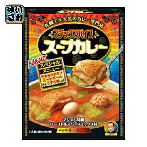 明治 マジックスパイス スープカレー 307g 20個入 〔レトルト食品 明治製菓 カレースープ スペシャルメニュー レトルトカレー〕