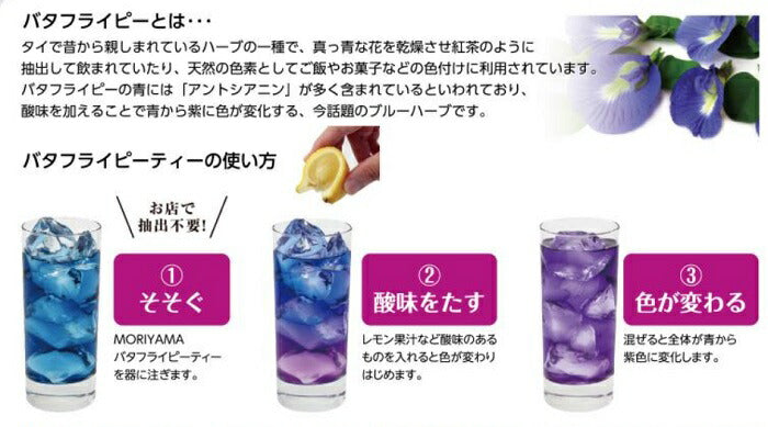 守山乳業 MORIYAMA バタフライピーティー 1000g 紙パック 12本 (6本入×2 まとめ買い)