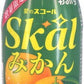 南日本酪農 スコール みかん 500ml ペットボトル 24本入 炭酸飲料 乳性炭酸飲料 期間限定