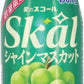 南日本酪農 スコール シャインマスカット 500ml ペットボトル 24本入 炭酸飲料 マスカット 期間限定