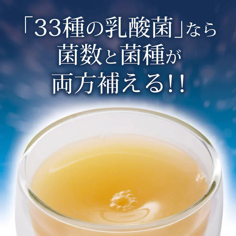 乳酸菌 サプリメント 粉末 33種の乳酸菌 30包入り 乳酸菌 メール便 送料無料 ダイエット 腸活