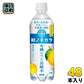ダイドー 和ノチカラ 有機レモン使用炭酸水 500ml ペットボトル 48本 (24本入×2 まとめ買い) 炭酸飲料 レモン 果汁