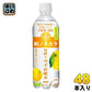 ダイドー 和ノチカラ 旬搾り ゆず炭酸水 500ml ペットボトル 48本 (24本入×2 まとめ買い) 炭酸飲料 無糖