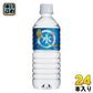 岩泉 龍泉洞の水 500ml ペットボトル 24本入 ウォーター 天然水 中硬水