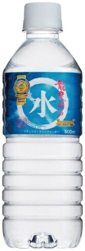 岩泉 龍泉洞の水 500ml ペットボトル 48本 (24本入×2 まとめ買い) ウォーター 天然水 中硬水