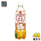 えひめ飲料 POM 愛媛 清見サイダー 410ml ペットボトル 48本 (24本入×2 まとめ買い)