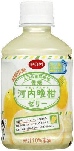 えひめ飲料 POM 愛媛河内晩柑ゼリー 295g ペットボトル 48本 (24本入×2 まとめ買い)