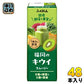 ふくれん 国産野菜 福岡のキウイスムージー 200ml 紙パック 48本 (24本入×2 まとめ買い) 野菜ジュース 豆乳入り ソイブレンド