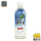 JAフーズおおいた 塩とカボス 495ml ペットボトル 48本 (24本入×2 まとめ買い) 熱中症対策