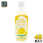 JAフーズおおいた 日田梨のサイダー 495ml ペットボトル 48本 (24本入×2 まとめ買い)