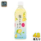 JAフーズおおいた 塩とレモン 495ml ペットボトル 48本 (24本入×2 まとめ買い) 熱中症対策 水分補給 塩分補給