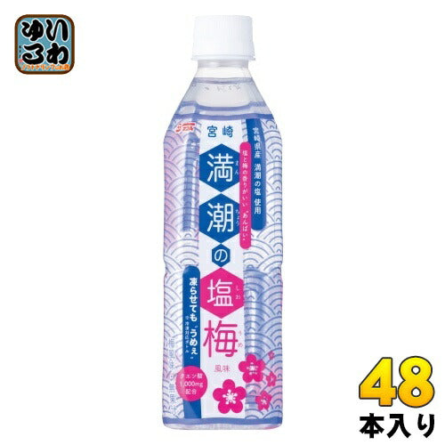 サンA 満潮の塩梅 490ml ペットボトル 48本 (24本入×2 まとめ買い) 熱中症対策 スポーツドリンク 冷凍 期間限定
