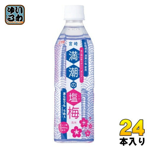 サンA 満潮の塩梅 490ml ペットボトル 24本入 熱中症対策 スポーツドリンク 冷凍 期間限定