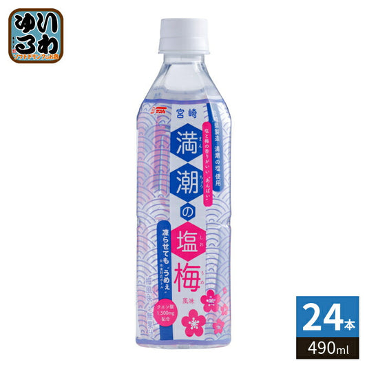 サンA 満潮の塩梅 490ml ペットボトル 24本入 熱中症対策 スポーツドリンク 冷凍可能 期間限定 梅風味