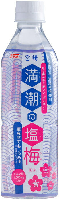 サンA 満潮の塩梅 490ml ペットボトル 48本 (24本入×2 まとめ買い) 熱中症対策 スポーツドリンク 冷凍可能 期間限定 梅風味