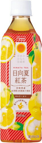 サンA 日向夏紅茶 500ml ペットボトル 24本入 紅茶飲料
