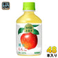 キリン 小岩井 純水りんご 280ml ペットボトル 48本 (24本入×2 まとめ買い) 果汁飲料 林檎