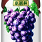 キリン 小岩井 純水ぶどう 430ml ペットボトル 48本 (24本入×2 まとめ買い) 果汁飲料 ブドウ