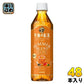 キリン 午後の紅茶 TEA SELECTION サマーブレンドアイスティー 500ml ペットボトル 48本 (24本入×2 まとめ買い) 紅茶 午後ティー 無糖 限定出荷