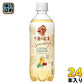 キリン 午後の紅茶 スパークリング ライチスカッシュ 500ml ペットボトル 24本入 炭酸飲料 Sparkling 午後ティー 夏季限定 自販機投入可能