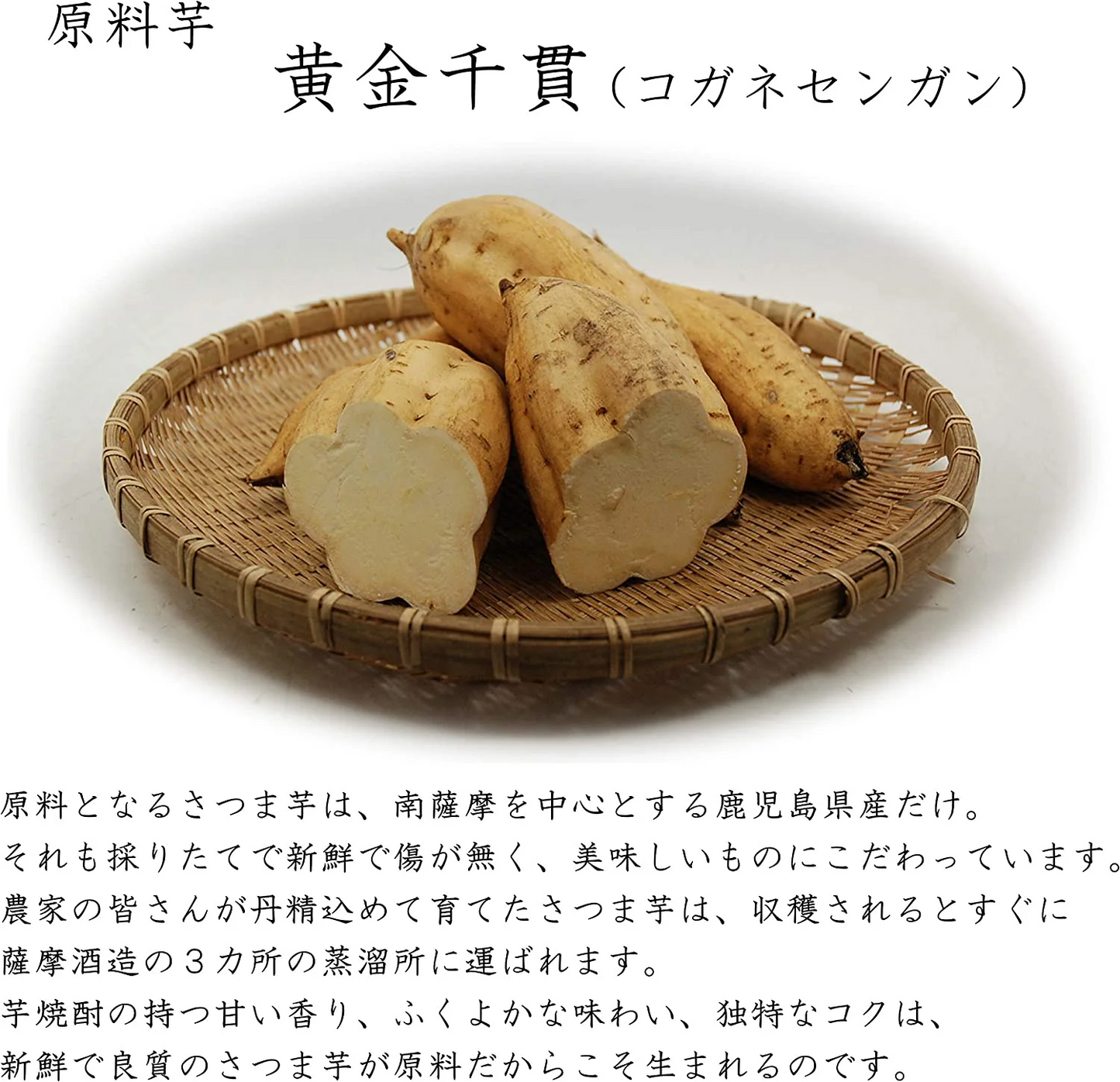 【送料無料】薩摩酒造  芋焼酎 かめ壺仕込み 枕崎 720ml×2本【北海道・東北・四国・九州・沖縄県は別途送料がかかります】