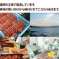 無着色辛子明太子 小切れ 2kg (1kg×2箱) 送料無料 明太子 ピリッと辛口 訳あり わけあり ワケアリ 切れ子 切子 めんたいこ 博多 福岡 土産 ギフト プレゼント 海鮮 魚介類 水産加工品 贅沢 丼 業務用