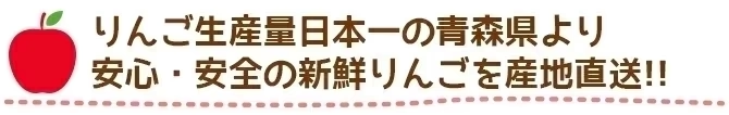【予約受付中】青森県産 訳あり 葉とらず シナノゴールド 約10kg※11月下旬頃から予約順発送※