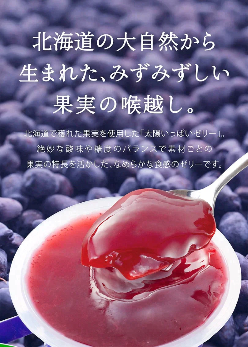 【北海道限定】もりもと 太陽いっぱいのハスカップゼリー 1袋(3個入) 新千歳空港 お土産