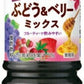 ミツカン フルーティス 黒酢 ぶどう&ベリーミックス 6倍濃縮タイプ 1000ml ペットボトル 8本 (1本入×8 まとめ買い) 食酢飲料 希釈用 業務用