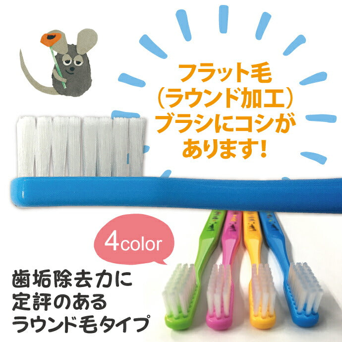 【3人シェア買いでお得】歯ブラシ Ciベーシック レオ・レオニズ フレンズ 歯ブラシ MSやややわらかめ 20本セット【Ciメディカル 歯ブラシ】