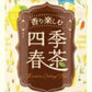 サーフビバレッジ 香り楽しむ四季春茶 500ml ペットボトル 48本 (24本入×2 まとめ買い)