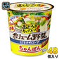 アサヒグループ食品 おどろき野菜 ボリューム野菜のはるさめスープ ちゃんぽん 48個 (6個入×8 まとめ買い) インスタント