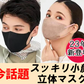 30枚【ランダム発送】3Dマスク スッキリ 小顔 ライン 立体 血色 バイカラーマスク【不織布 血色マスク 不織布 個別包装 おしゃれ 人気 おすすめ 今話題 大人用 大きめ 小さめ】オールシーズン 花粉症 対策 防塵 衛生日用品 衛生医療品 衛生マスク 子供用 小顔用 女性用 おしゃれマスク 立体的なシルエット バイカラー 立体マスク インフルエンザ コロナ 衛生用品 可愛い ランキング おすすめ 「福袋」