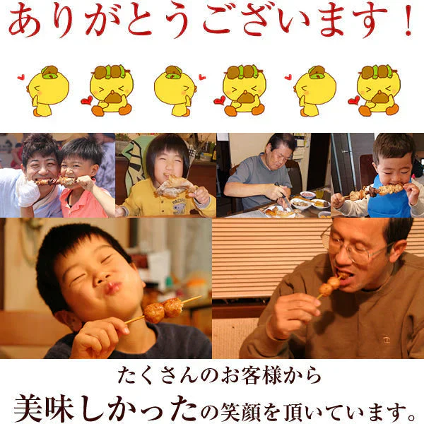 オススメ焼き鳥10本セット（2本入×5種類）