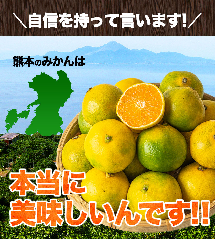 熊本 みかん 訳あり 9kg 熊本県産 熊本 小玉 不選別 みかん 家庭用 送料無料 早生 ミカン フルーツ お取り寄せ 柑橘 フルーツ 果物  《10月中旬-11月中旬に出荷予定》