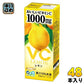 エルビー おいしいビタミンC レモン 200ml 紙パック 48本 (24本入×2 まとめ買い) 果汁飲料 檸檬 ビタミンC