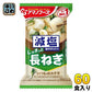 アマノフーズ フリーズドライ 減塩いつものおみそ汁 長ねぎ 60食 (10食入×6 まとめ買い) お味噌汁 FD インスタント 即席 味噌汁