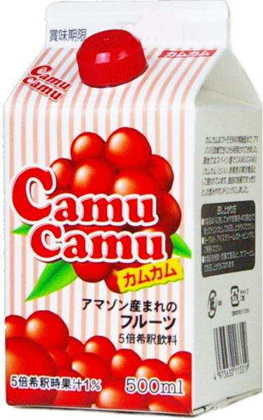 ジーエスフード カムカム(CamuCamu) 500ml 紙パック 12本入 〔果汁飲料〕