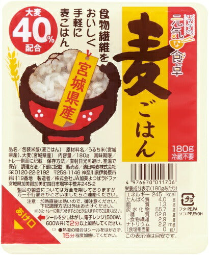 濱田精麦 ハマダの元気な食卓 麦ごはん 180g パック 48個 (12個入×4 まとめ買い)