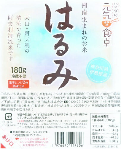 濱田精麦 ハマダの元気な食卓 はるみごはん 180g パック 48個 (12個入×4 まとめ買い)