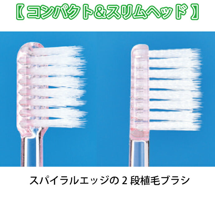 歯科専売品歯ブラシ Demiエリート スパイラル / 超先細毛+フラット毛 / Mふつう 12本入《★歯周病予防3点セットのおまけ付》【メール便送料無料】