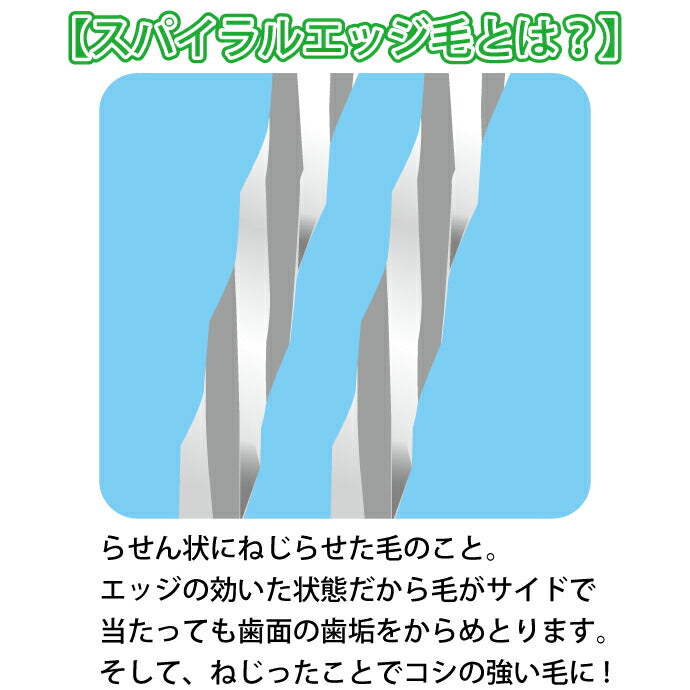 歯科専売品歯ブラシ Demiエリート スパイラル / 超先細毛+フラット毛 / Mふつう 12本入《★歯周病予防3点セットのおまけ付》【メール便送料無料】