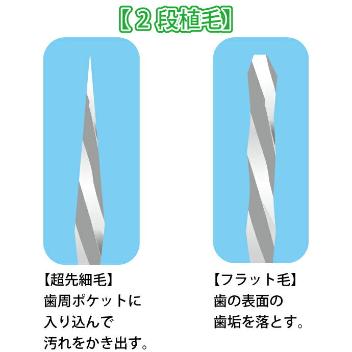 歯科専売品歯ブラシ Demiエリート スパイラル / 超先細毛+フラット毛 / Mふつう 12本入《★歯周病予防3点セットのおまけ付》【メール便送料無料】