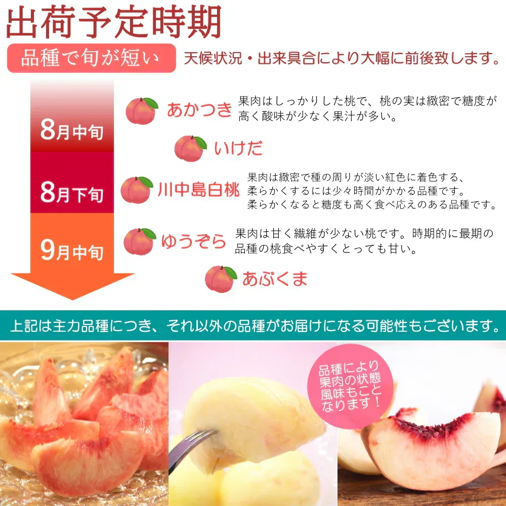 【8月中旬頃-9月中旬頃ご注文受付順次】白桃 約2kg 6-8玉前後 化粧箱 ギフト 秀品 贈り物 桃 モモ ピーチ 山形産 産地直送
