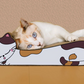 ねこの爪とぎ　居眠りにゃんこ　ミケ◆ 猫 ネコ ねこ にゃんこ 猫用品 ペット ぺっと グッズ 小物 つめとぎ 爪とぎ 爪研ぎ ダンボール 段ボール お洒落 おしゃれ オシャレ 可愛い かわいい カワイイ 猫の日