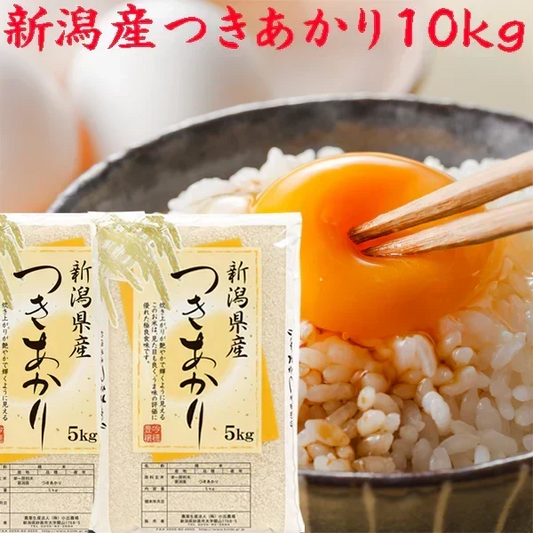 新米 10kg 令和8年 新潟産 つきあかり 白米 10kg （5kg×2袋) プレゼント付き 白米10kg 精米 米 お米 10kg ベストストア 農家直送 美味しいお米