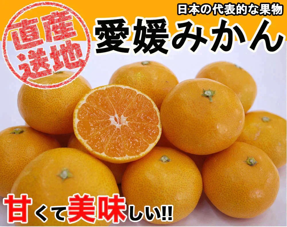 みかん 5kg 送料無料 愛媛みかん 温州みかん ミカン 蜜柑 安い 甘い 箱買い 産地直送 愛媛県産 YDF-000