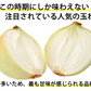 玉ねぎ サラダ玉ねぎ 10kg 送料無料 新玉 S～L 熊本県産 玉葱 たまねぎ 野菜